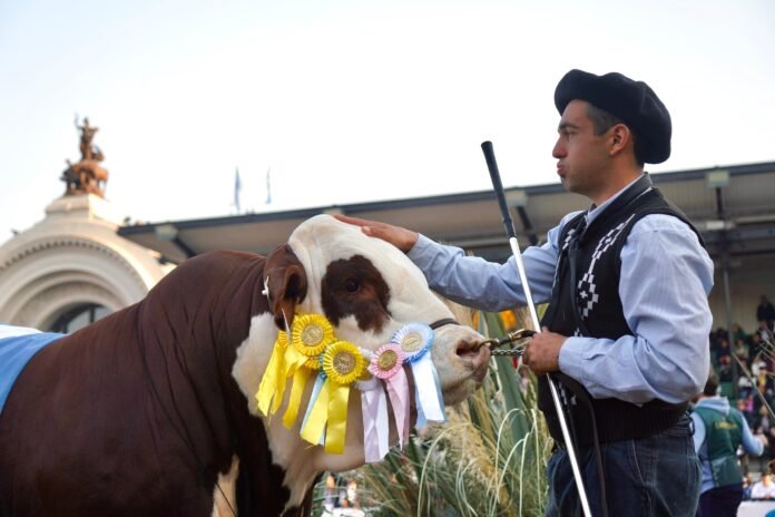 El toro “Alejo”, bicampeón Braford 2025, brilló en la pista central de Palermo y emocionó a su cuidador, quien le dio su nombre.