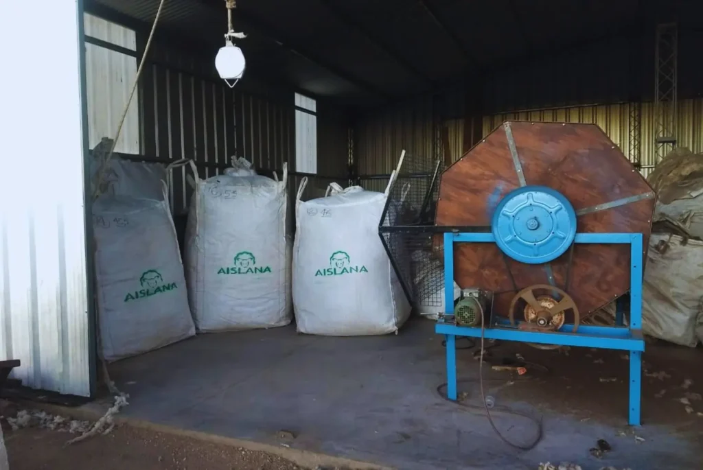 Un proyecto argentino convierte la lana ovina descartada en un aislante térmico eficiente y sostenible que revoluciona la construcción y potencia la economía circular.