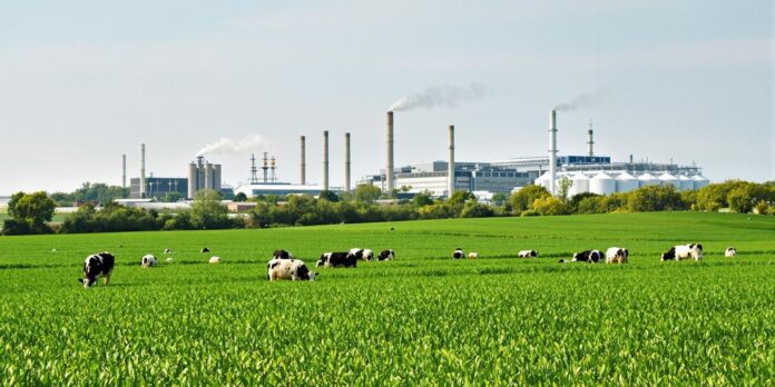 Vacas lecheras y siluetas de fábricas