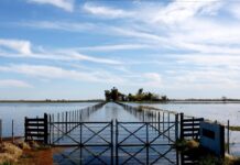 Inundaciones severas arrasan zonas rurales de tres partidos bonaerenses con mas de 360.000 hectareas anegadas El Gobierno y ARCA otorgarán exenciones en Ganancias y planes de pago a productores ganaderos de Buenos Aires afectados por las inundaciones. La SRA gestionó los beneficios tras el reclamo en 9 de Julio.