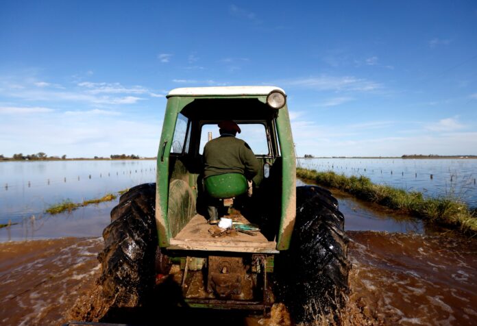 Imagen 18-9-25 a las 14.17 El Gobierno y ARCA otorgarán exenciones en Ganancias y planes de pago a productores ganaderos de Buenos Aires afectados por las inundaciones. La SRA gestionó los beneficios tras el reclamo en 9 de Julio.