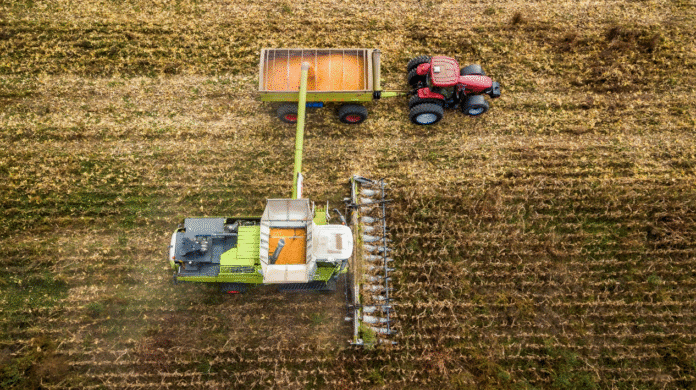En el Congreso Internacional de Maíz en Rosario, SUPRA Semillas destacó la innovación, la genética y el crecimiento como pilares para lograr altos rendimientos en la campaña 2025/26.