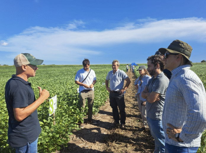 Neogen presentó en Acsoja 2025 un plan ambicioso: llegar a 2,5 millones de hectáreas de soja bajo Sembrá Evolución en 2029. El sistema apunta a mejorar productividad y cerrar la brecha con Brasil y EE.UU.