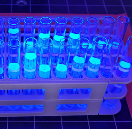 El nuevo trazador ultravioleta de Syngenta permite analizar cobertura, depósitos y deriva con precisión científica, optimizando la calidad de las aplicaciones agrícolas y el uso de insumos.