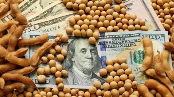 ¿Menos retenciones en 2026?: la soja se está pagando con una alícuota implícita de entre 17% y 20% 4 Foto principal