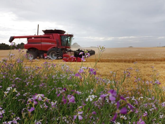 La meta, coinciden los expertos, es acelerar el crecimiento de la productividad al 2% anual hasta 2050 para alimentar al planeta sin degradar los recursos naturales.🌱