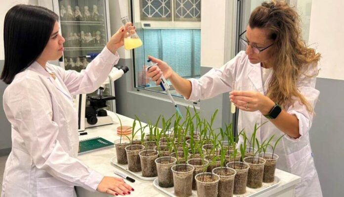 WhatsApp Image 2025 11 07 at 1.26.08 PM 1