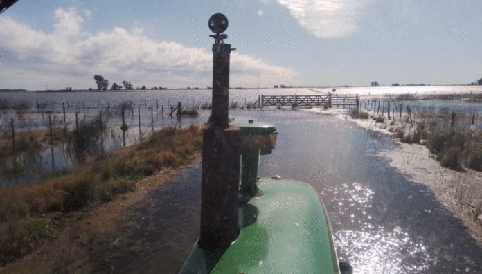 campo inundado pato gorza