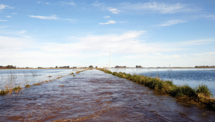 Inundaciones: Bullrich se reunirá con productores, mientras Buenos Aires volvió a criticar a la Nación 6 inundaciones 9 de julio
