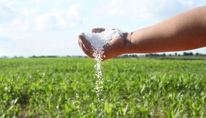 Deterioro: los fertilizantes están en fase alcista y ponen en jaque la rentabilidad de los cereales 22 urea1