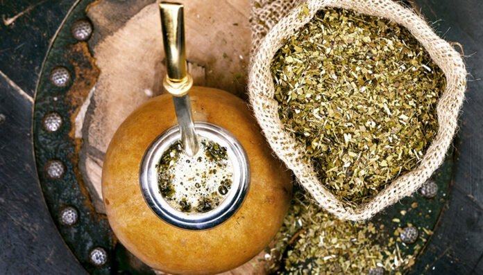 yerba mate