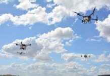 Cuáles son los tres hitos que transformaron la producción en Argentina