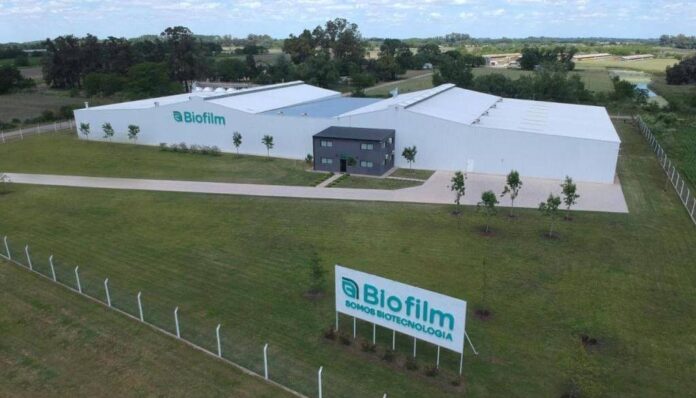 WhatsApp Image 2025 12 22 at 11.32.57 AM