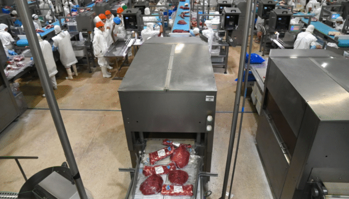 El Gobierno argentino celebró una nueva postergación del reglamento europeo sobre deforestación 2 carne frigorifico exportaciones sagyp