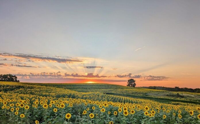 Clima en Rosario hoy: cuál es el pronóstico del tiempo según el servicio meteorológico nacional para el 7 diciembre 2025 2 clima en rosario