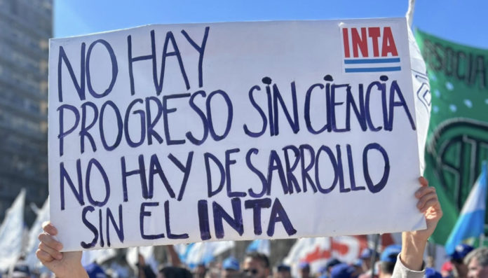 inta apinta cartel