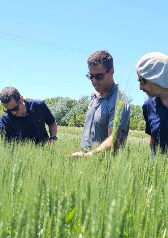 El principal diferencial de VITTA CROPS se encuentra en su línea de nutrición basada en nanotecnología, una innovación que permite trabajar con dosis extremadamente bajas sin resignar respuesta agronómica. En algunos casos, incluso, los resultados superan a los obtenidos con esquemas tradicionales de fertilización.