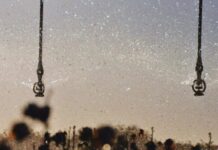 Sistema innovador de monitoreo de riego con IA