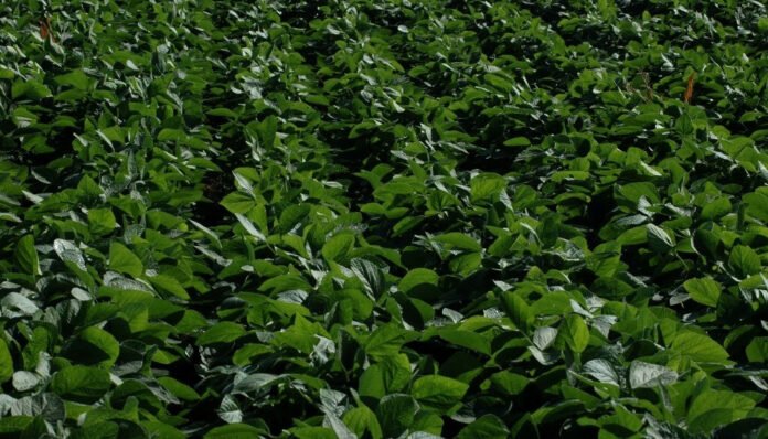 WhatsApp Image 2025 10 30 at 9.41.59 AM