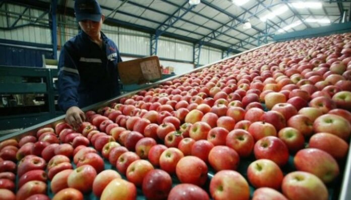 manzanas