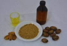 Derivados de la nuez pecán se incorporan al Código Alimentario Argentino