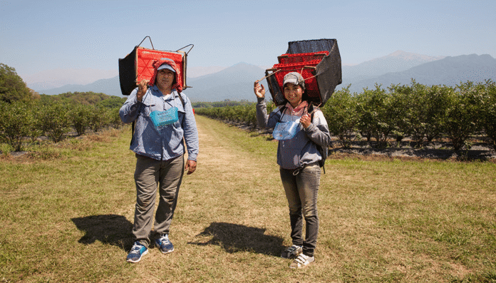 trabajadoras rurales uatre renatre