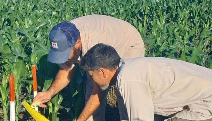 WhatsApp Image 2026 02 24 at 9.13.34 AM