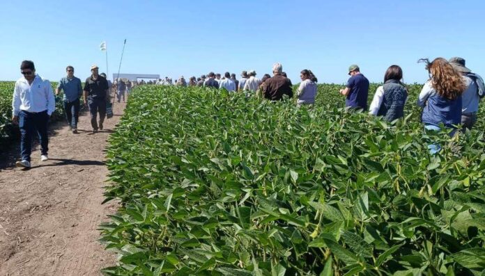 WhatsApp Image 2026 02 27 at 11.48.34 AM