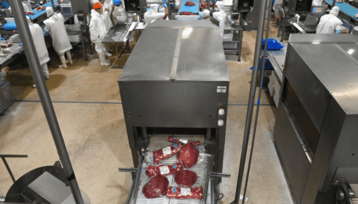 carne envasada frigorifico exportacion