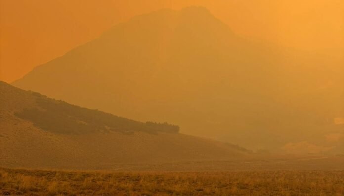 fuego chubut e1770055384971