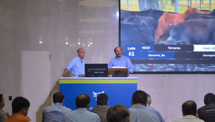 remate rosgan terneros