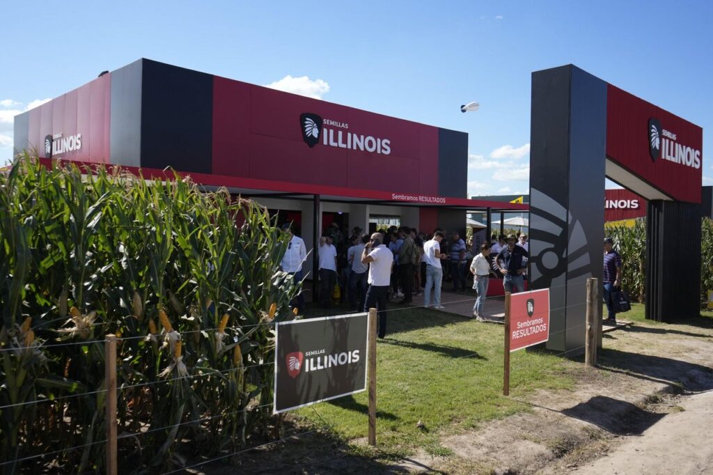 El plot de Illinois exhibió híbridos adaptados a distintos ambientes productivos, con foco en estabilidad, manejo de densidad y maximización del rendimiento.