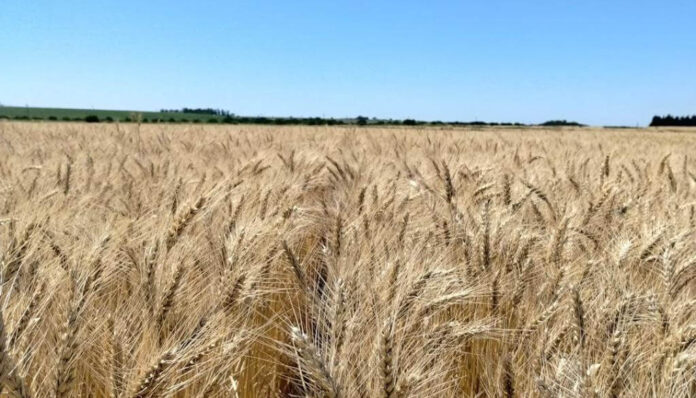 WhatsApp Image 2026 03 04 at 12.10.38 PM