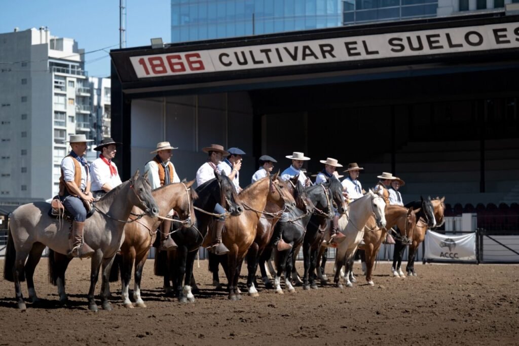 La selección de caballos Criollos no es improvisada: detrás de cada ejemplar hay años de genética, entrenamiento y trabajo en cabañas de todo el país. 