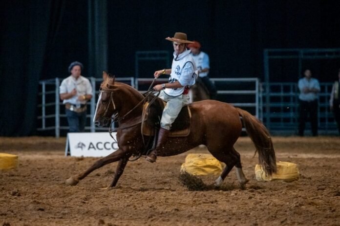 La definición en Palermo marca el último paso antes del “mundial” de la raza, donde Argentina buscará consolidar su liderazgo internacional en genética equina. Créditos fotos: @sollacase.fotos @polisphotos