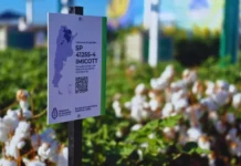 Genética aplicada al campo, la propuesta del INTA en Expoagro