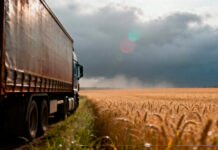 La agroindustria como motor exportador histórico