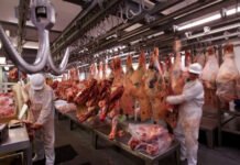 Frigoríficos en crisis en Argentina: costos récord y consumo en caída golpean a la industria Frigoríficos.