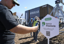 Procampo Digital en dólares y beneficios para los primeros 80 clientes: las novedades que lleva Banco Provincia a Expoagro 2026