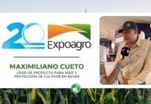 “El maíz en Argentina todavía tiene hasta 40% de rendimiento por ganar”: la mirada de Bayer sobre la próxima campaña