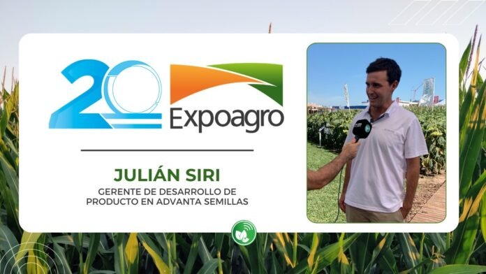 Desde Expoagro 2026, Advanta Semillas mostró cómo el girasol se consolida como cultivo clave y por qué la canola empieza a ganar terreno en Argentina. Julián Siri analizó el nuevo escenario productivo y el rol de la tecnología.