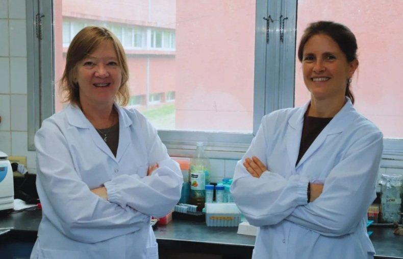 Especialistas del INTA detectaron, por primera vez en el país, la bacteria ‘Ehrlichia chaffeensis’ en ciervo de los pantanos y en las garrapatas que los parasitan.