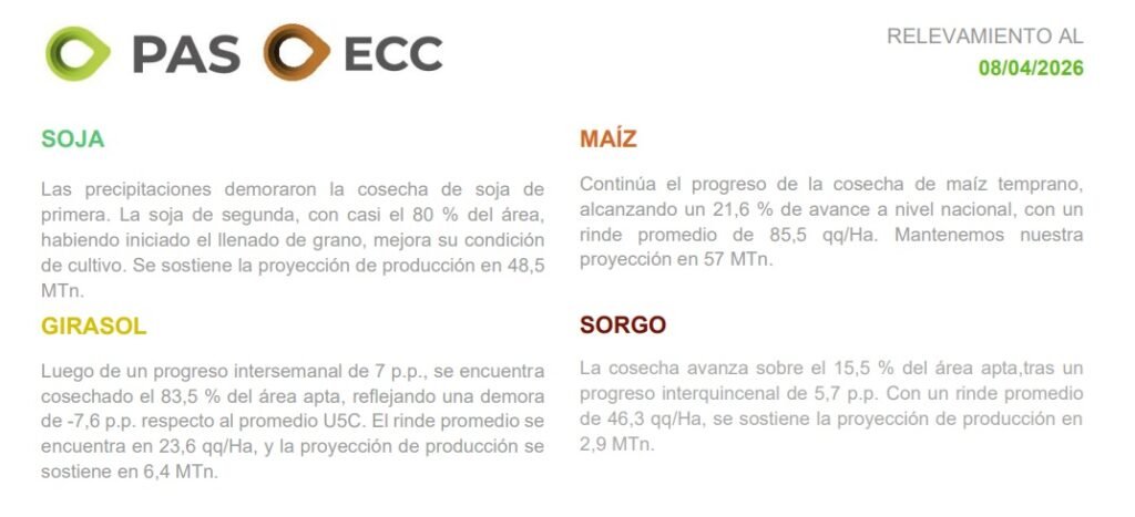 Las intensas precipitaciones registradas en gran parte del área agrícola continúan demorando el avance de la cosecha de soja y girasol, con apenas un 2,4 % de la superficie de soja de primera recolectada y un progreso del 83,5 % en girasol.