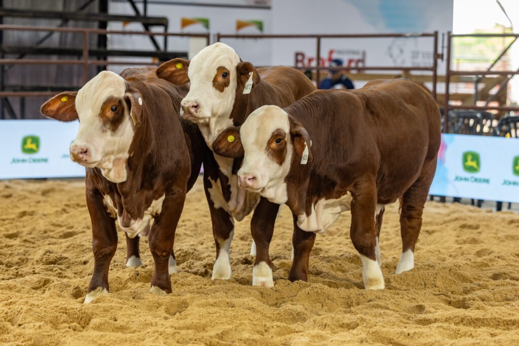 Del 24 al 29 de mayo de 2026, la Sociedad Rural de Corrientes, en Riachuelo, será el escenario de una nueva edición de las NACIONALES con la fuerza de Expoagro, uno de los eventos ganaderos más importantes del país.