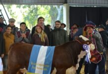 Corrientes se posiciona a la vanguardia del desarrollo genético en las NACIONALES 2026