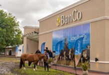 El BanCo llega a Las Nacionales 2026 con financiamiento, beneficios y una fuerte presencia institucional