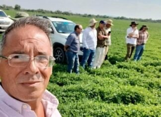 Debate sobre la soja que permite reproducirse y generar semilla para otra campana Hugo Meloni Apronor 1 e1775872919488