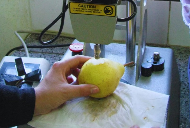 Especialistas del Área Poscosecha del INTA Alto Valle monitorean índices como firmeza, acidez, degradación de almidón, color y contenido de azúcares para determinar el punto ideal de recolección, preservar la calidad y mejorar la conservación y comercialización de los frutos de p