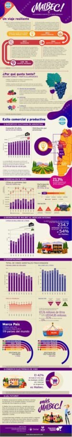 Informe Malbec 2026 Infografia.jpg scaled