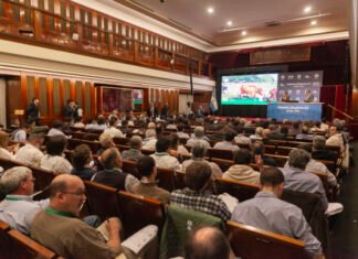 Remate récord en Banco Nación con más de 36.000 cabezas